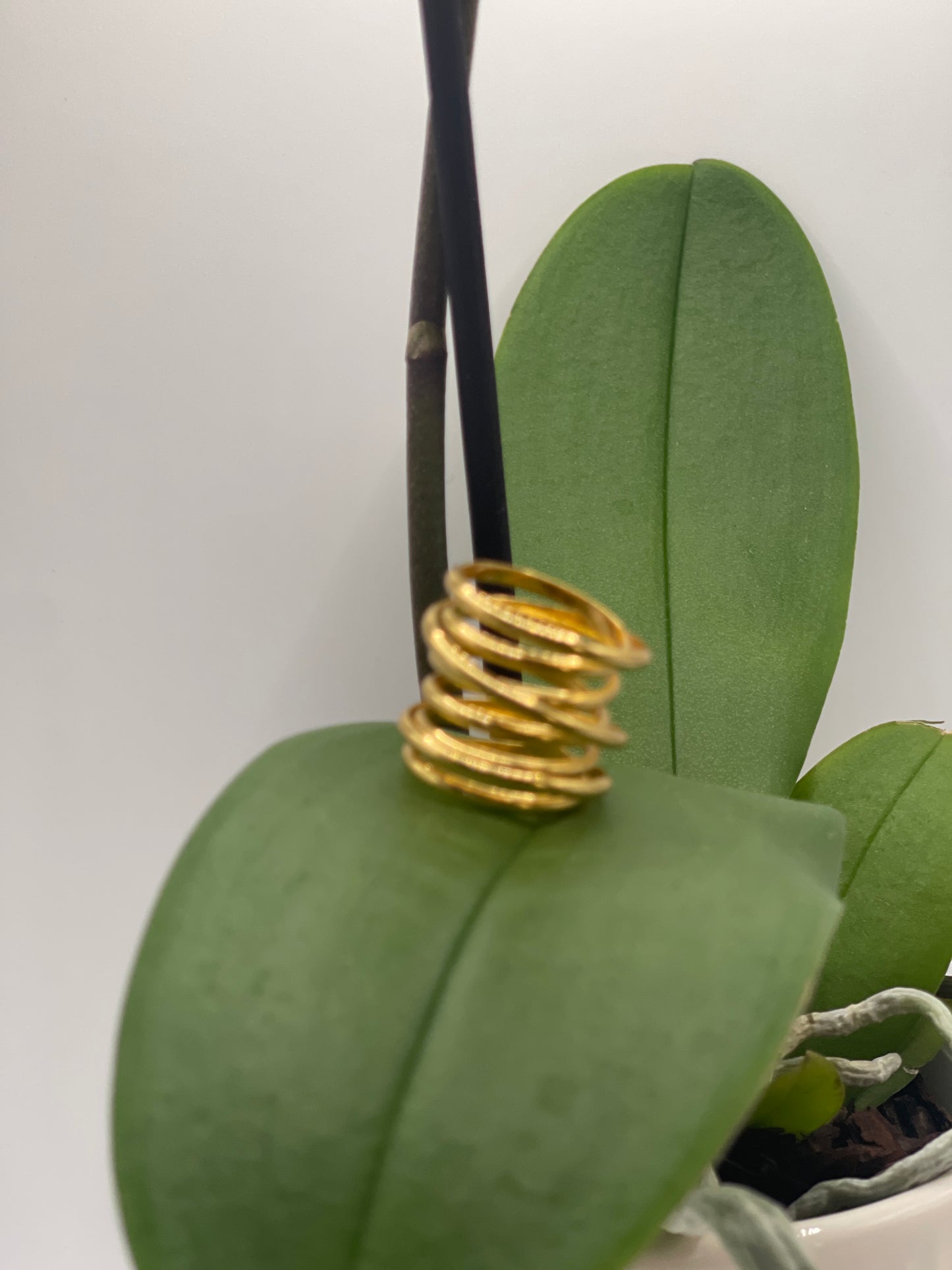 Close-up of Solstice Spiral Ring by Kalagaia, modern handcrafted jewelry.